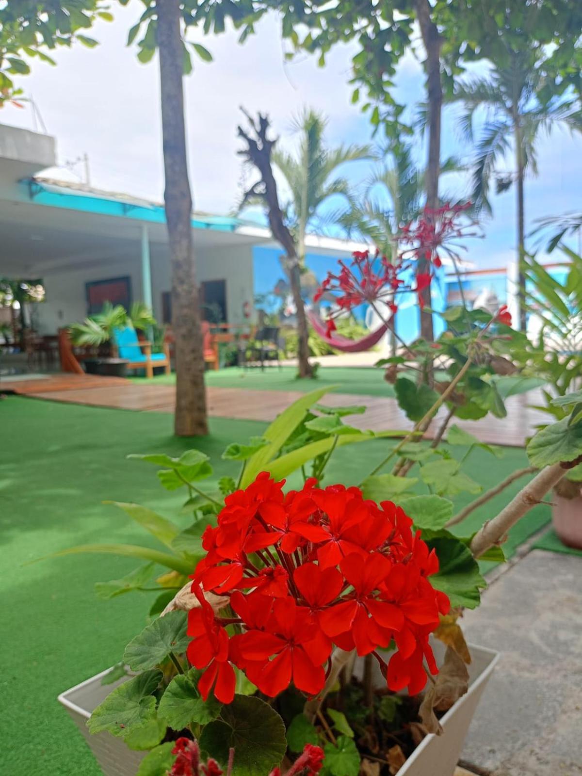 Galapagos Isabela Hotel Loja Puerto Villamil Exterior photo